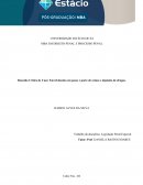 Resenha Crítica de Caso: Envolvimento em Posse e Porte de Armas e Depósito de Drogas