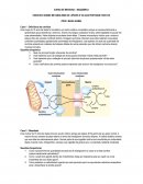 EXERCÍCIO SOBRE METABOLISMO DE LIPÍDIOS E VIA DAS PENTOSES FOSFATO