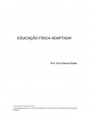 APOSTILA EDUCAÇÃO FISICA ADAPTADA