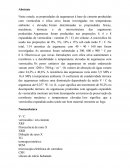 Efeito combinado de fumo de sílica e vermiculita expandida nas propriedades de argamassas leves a temperaturas ambiente e elevadas