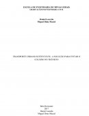 TRANSPORTE URBANO SUSTENTÁVEL: A SOLUÇÃO PARA EVITAR O COLAPSO NO TRÂNSITO