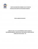 O IMPACTO QUE A FALTA DE EXPERIENCIA PODE CAUSAR AO MICROEMPREENDEDOR: UM ESTUDO DE CASO MARCIA CONFECÇÕES NA CIDADE DE FOZ DO IGUAÇU - PR
