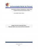 Educação Infantil e Anos Iniciais do Ensino Fundamental