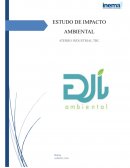 EIA - Avaliação de Impacto Ambiental