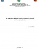 RELATORIO DE AULA PRATICA: Caracterização morfológica de sementes e plântulas de espécies florestais