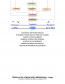 TRABALHO DE COMUNICAÇÃO EMPRESARIAL