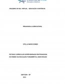 ESTÁGIO CURRICULAR SUPERVISIONADO EM PEDAGOGIA NO ENSINO DA EDUCAÇÃO FUNDAMENTAL ANOS INICIAIS