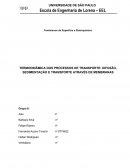 Fenômenos de superfície eletroquímica - membranas