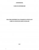 RELATORIO REFERENTE ÁS ATIVIDADES DA PRÁTICA DE CAMPO DA DISCIPLINA SAÚDE DA MULHER
