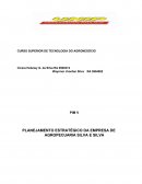 O PLANEJAMENTO ESTRATÉGICO DA EMPRESA DE AGROPECUARIA SILVA E SILVA