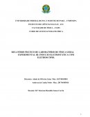 RELATÓRIO PRÁTICO DE LABORATÓRIO DE FÍSICA GERAL EXPERIMENTAL III: INDUÇÃO ELETROSTÁTICA COM ELETROSCÓPIO