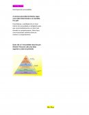 Abraham Maslow Hierarquia das Necessidades