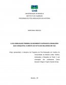 A (IN) VISIBILIDADE FEMININA NO MOVIMENTO SUFRAGISTA BRASILEIRO QUE CONQUISTOU O DIREITO DE VOTO DAS MULHERES EM 1932