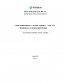 ESTELIONATO VIRTUAL: A ANÁLISE ACERCA DA LEGISLAÇÃO BRASILEIRA E OS CRIMES CIBERNÉTICOS
