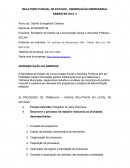 RELATÓRIO PARCIAL DE ESTÁGIO - OBSERVAÇÃO EMPRESARIAL SEMESTRE 2019. 3