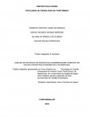 Análise Estratégica de Negócio da Sommerhauzer Company em Novos Contextos Econômicos e de Mercado