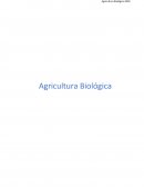 A Agricultura Biológica