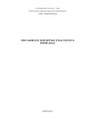 INDICADORES DE DESEMPENHO E DIAGNÓSTICOS EMPRESARIAL