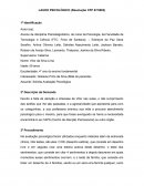 LAUDO PSICOLÓGICO (Resolução CFP 07/2003)