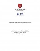 Relatório das Aulas Práticas de Parasitologia Clínica