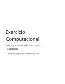 Exercício Computacional - O Problema de Mistura de Componentes