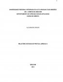 Relatório de Prática Jurídica - Processo Civil