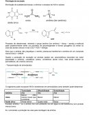 A Fisiologia da Excreção