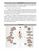 O Resumão Fisiopatologia