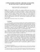 O IMPACTO DOS GASTOS DE CAMPANHA NAS ELEIÇÕES MUNICIPAIS PARA O CARGO DE VEREADOR