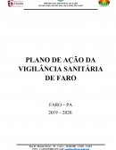 PLANO DE AÇÃO VISA