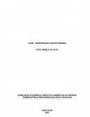 VIABILIDADE ECONÔMICA E IMPACTOS AMBIENTAIS DA ENERGIA TERMOELÉTRICA PARA PRODUÇÃO DE ELETRICIDADE