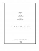 Plano Estratégico da Empresa "Nossa Família"