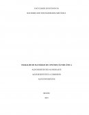 TRABALHO DE MATERIAIS DE CONSTRUÇÃO MECÂNICA AÇOS RESISTENTES AO DESGASTE