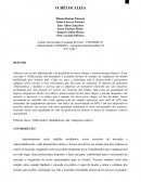 Paper Sobre Plano de Negócios