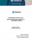 RESENHA CRITICA ANALISE DE IMPACTO AMBIENTAL