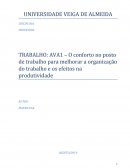 O Conforto no Posto de Trabalho Para Melhorar a Organização do Trabalho e os Efeitos na Produtividade