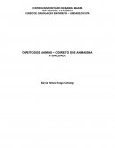 OS DIREITO DOS ANIMAIS – O DIREITO DOS ANIMAIS NA ATUALIDADE