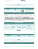 Atividade Individual: Documentação dos requisitos do projeto