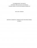 A EFICIÊNCIA ENERGÉTICA: DIMINUIÇÃO DE CONSUMO DE ENERGIA ELÉTRICA