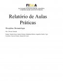 Relatório de Aulas Práticas