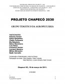 PROJETO CHAPECÓ 2030 GRUPO TEMÁTICO DA AGROPECUÁRIA