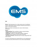 Os Métodos da Empresa EMS