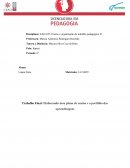 Plano de Ensino de História: Patrimônios Históricos e Memória