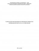 PLANO DE AÇÃO PARA SEGURANÇA DO PROCESSO DE TRABALHO DA ENFERMAGEM EM HOSPITAL DE ALTA COMPLEXIDADE