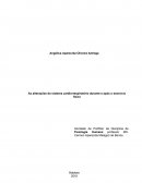 AS ALTERAÇÕES DO SISTEMA CARDIORRESPIRATÓRIO DURANTE E APÓS O EXERCÍCIO FÍSICO