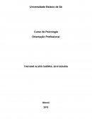 Universidade Estácio de Sá Curso de Psicologia Orientação Profissional