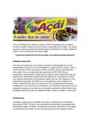 O PLANO DE NEGÓCIOS FICTÍCIO DE UMA LOJA ESPECIALIZADA EM AÇAÍ