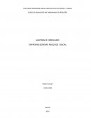 AUDITORIA E COMPLIANCE EMPREENDEDORISMO NEGÓCIOS E SOCIAL