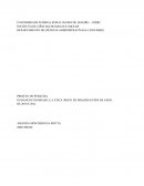 PROJETO DE PESQUISA OS BANCOS NO BRASIL E A ÉTICA: RISCO DE IMAGEM ENTRE OS ANOS DE 2010 E 2012