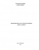 RESPONSABILIDADE CIVIL DO ESTADO POR OMISSÃO: Objetiva ou subjetiva?